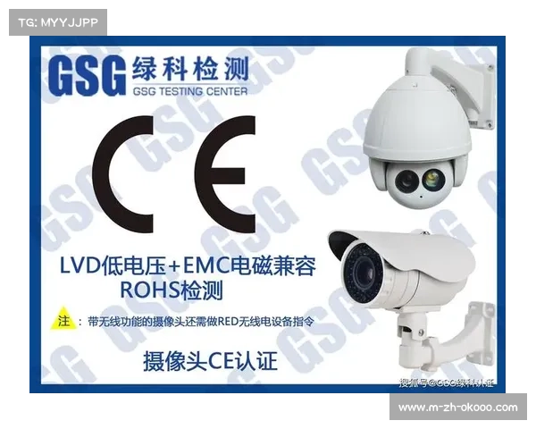 儿童羽毛球拍新材料通过欧盟安全认证推动市场健康发展 儿童羽毛球拍新材料通过欧盟安全认证推动市场健康发展